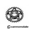 ABSOLUTE BLACK C/RING MTB CANNONDALE
